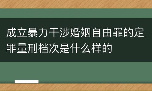 成立暴力干涉婚姻自由罪的定罪量刑档次是什么样的
