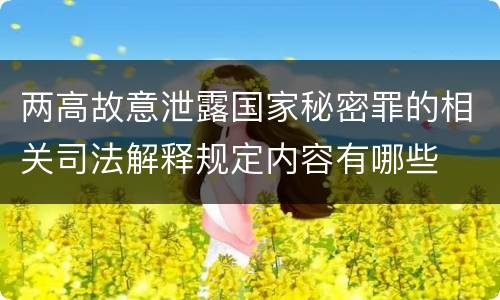 两高故意泄露国家秘密罪的相关司法解释规定内容有哪些