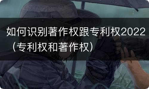 如何识别著作权跟专利权2022（专利权和著作权）
