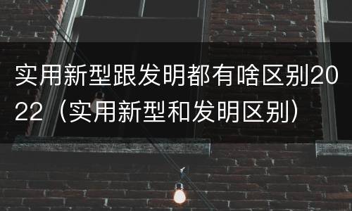 实用新型跟发明都有啥区别2022（实用新型和发明区别）