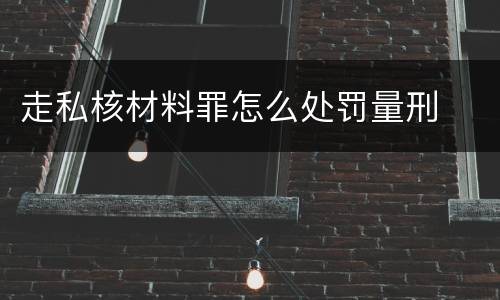 走私核材料罪怎么处罚量刑
