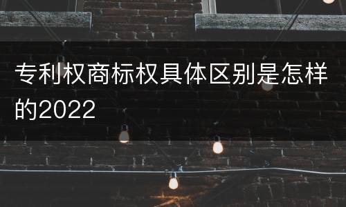 专利权商标权具体区别是怎样的2022