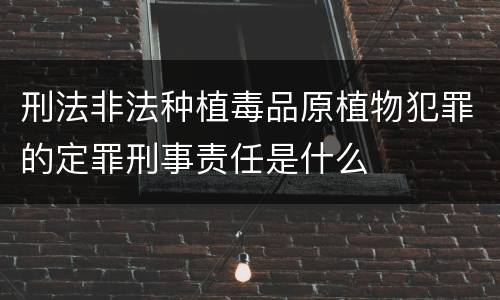 刑法非法种植毒品原植物犯罪的定罪刑事责任是什么