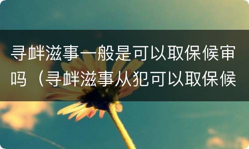 寻衅滋事一般是可以取保候审吗（寻衅滋事从犯可以取保候审吗）