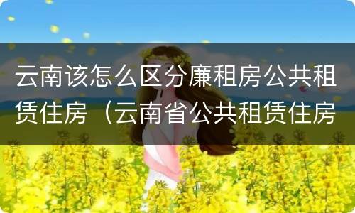 云南该怎么区分廉租房公共租赁住房（云南省公共租赁住房）