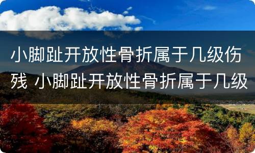 小脚趾开放性骨折属于几级伤残 小脚趾开放性骨折属于几级伤残标准