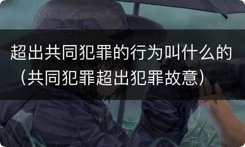 超出共同犯罪的行为叫什么的（共同犯罪超出犯罪故意）