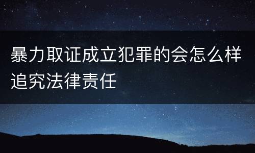 暴力取证成立犯罪的会怎么样追究法律责任