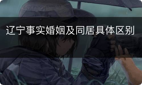 辽宁事实婚姻及同居具体区别