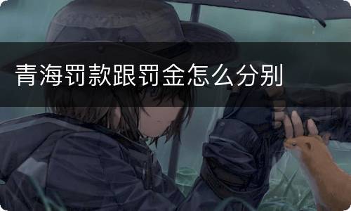 青海罚款跟罚金怎么分别