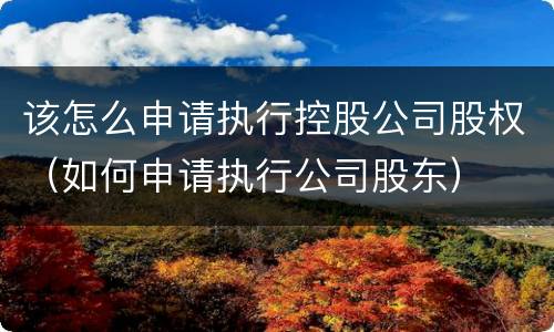 该怎么申请执行控股公司股权（如何申请执行公司股东）