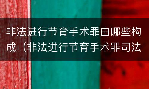 非法进行节育手术罪由哪些构成（非法进行节育手术罪司法解释）