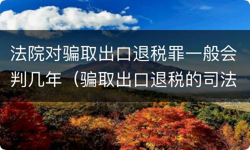 法院对骗取出口退税罪一般会判几年（骗取出口退税的司法解释）