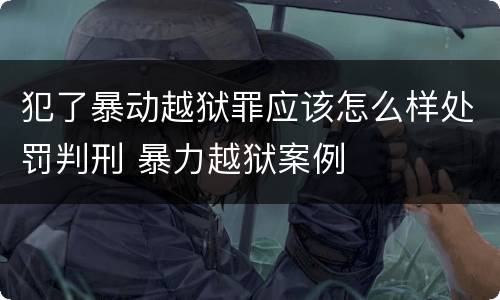 犯了暴动越狱罪应该怎么样处罚判刑 暴力越狱案例