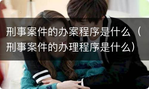 刑事案件的办案程序是什么（刑事案件的办理程序是什么）