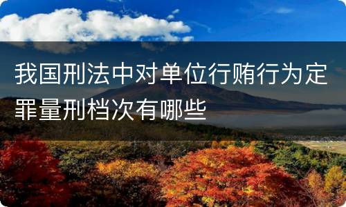 我国刑法中对单位行贿行为定罪量刑档次有哪些