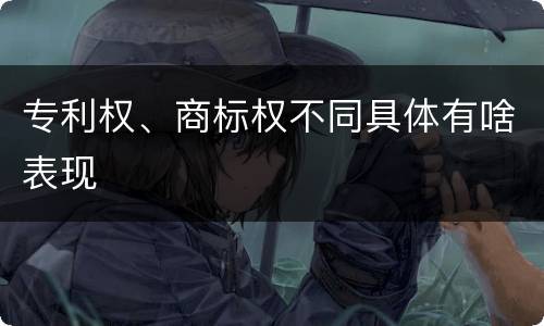 专利权、商标权不同具体有啥表现