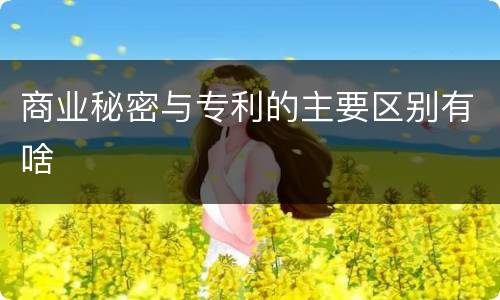 商业秘密与专利的主要区别有啥