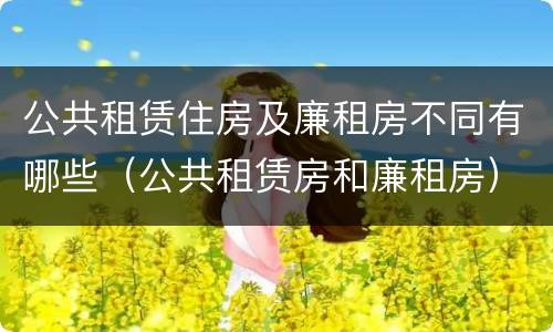 公共租赁住房及廉租房不同有哪些（公共租赁房和廉租房）