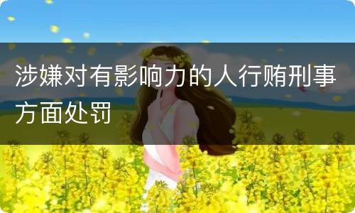 涉嫌对有影响力的人行贿刑事方面处罚