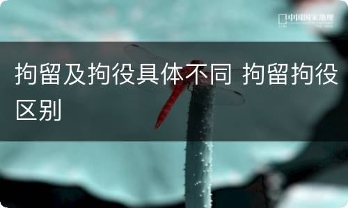 拘留及拘役具体不同 拘留拘役区别