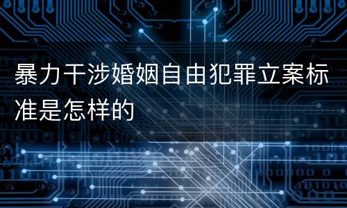 暴力干涉婚姻自由犯罪立案标准是怎样的