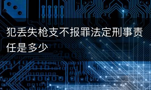 犯丢失枪支不报罪法定刑事责任是多少