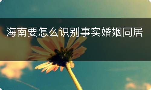 海南要怎么识别事实婚姻同居