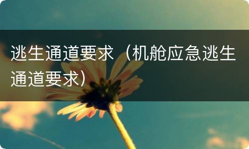 逃生通道要求（机舱应急逃生通道要求）