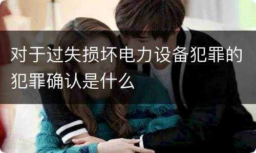 对于过失损坏电力设备犯罪的犯罪确认是什么