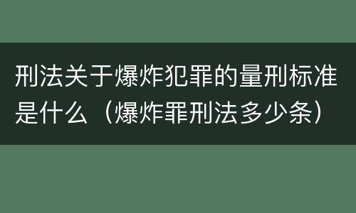 刑法关于爆炸犯罪的量刑标准是什么（爆炸罪刑法多少条）