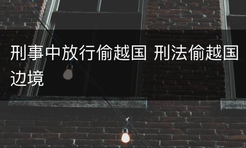 刑事中放行偷越国 刑法偷越国边境