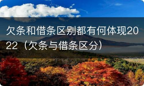 欠条和借条区别都有何体现2022（欠条与借条区分）