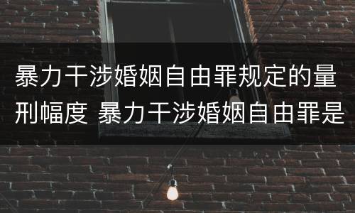 暴力干涉婚姻自由罪规定的量刑幅度 暴力干涉婚姻自由罪是刑法第几章