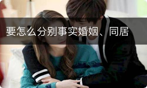 要怎么分别事实婚姻、同居