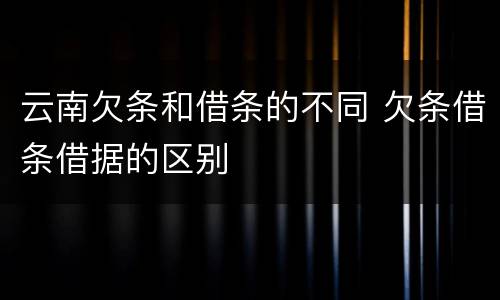 云南欠条和借条的不同 欠条借条借据的区别