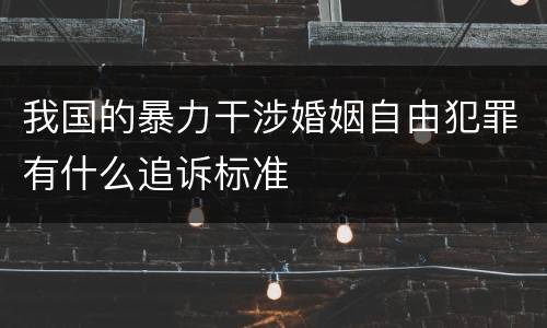 我国的暴力干涉婚姻自由犯罪有什么追诉标准