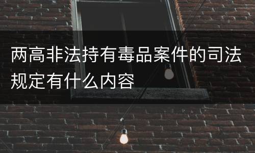 两高非法持有毒品案件的司法规定有什么内容