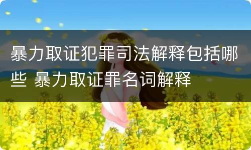 暴力取证犯罪司法解释包括哪些 暴力取证罪名词解释