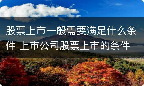 股票上市一般需要满足什么条件 上市公司股票上市的条件
