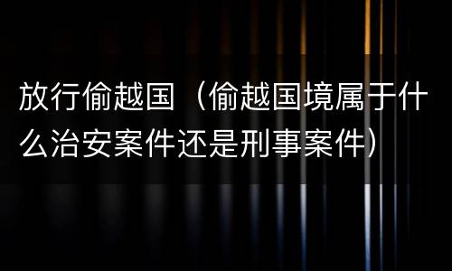 放行偷越国（偷越国境属于什么治安案件还是刑事案件）