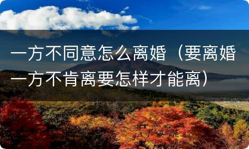 一方不同意怎么离婚（要离婚一方不肯离要怎样才能离）