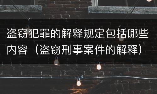 盗窃犯罪的解释规定包括哪些内容（盗窃刑事案件的解释）