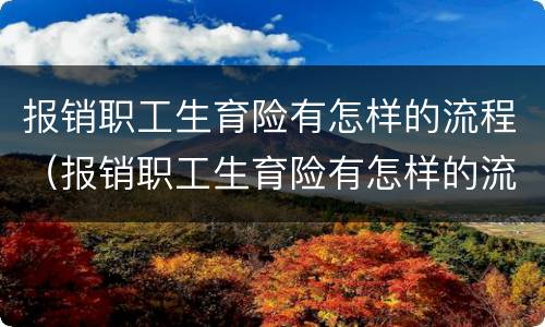 报销职工生育险有怎样的流程（报销职工生育险有怎样的流程和手续）