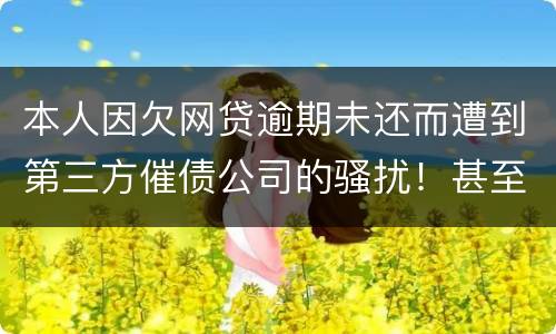 本人因欠网贷逾期未还而遭到第三方催债公司的骚扰！甚至是我所以亲戚朋友都