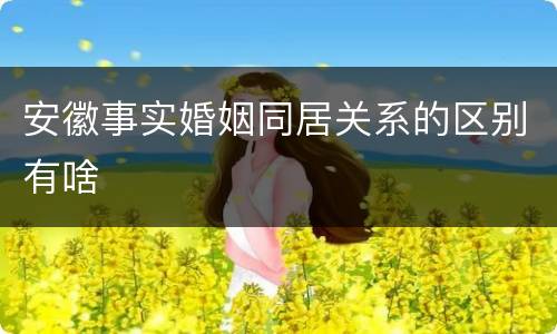 安徽事实婚姻同居关系的区别有啥