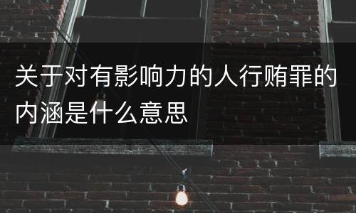 关于对有影响力的人行贿罪的内涵是什么意思