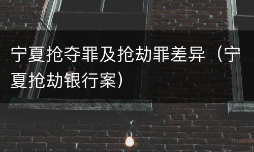 宁夏抢夺罪及抢劫罪差异（宁夏抢劫银行案）