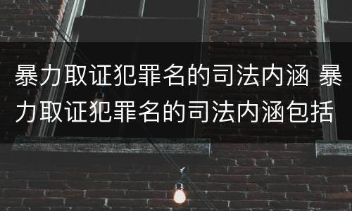 暴力取证犯罪名的司法内涵 暴力取证犯罪名的司法内涵包括
