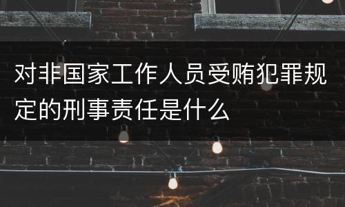对非国家工作人员受贿犯罪规定的刑事责任是什么